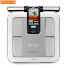Body and Fat Monitor