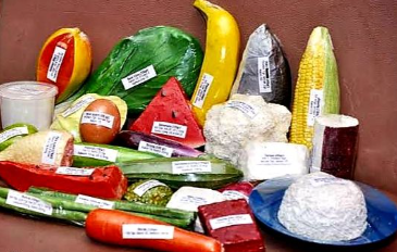 Food Model
