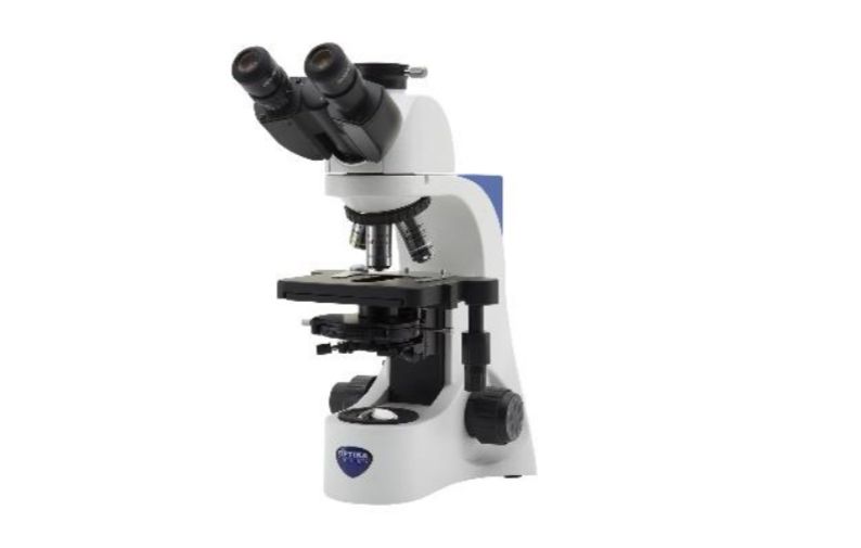 Binocular with camera microscope