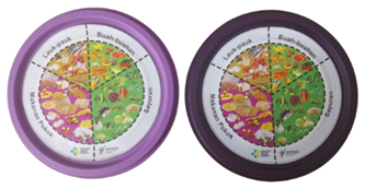 Lunch Box Isi Piringku